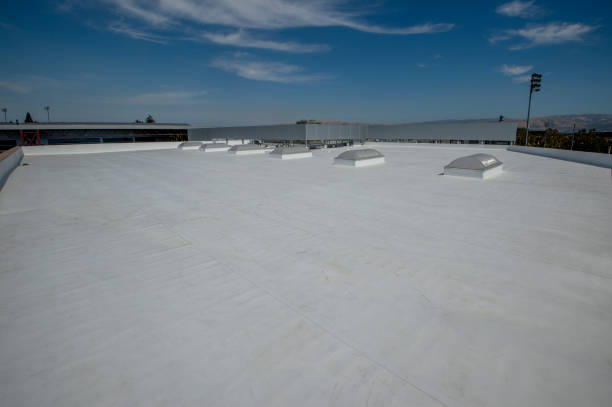 Best Roof Waterproofing  in USA